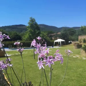 Bed & Breakfast Alba Morus Bed E Breakfast Sentiti A Casa Nel Cuore Della Toscana Arezzo